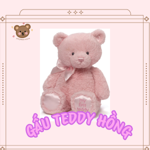 Gấu Teddy hồng