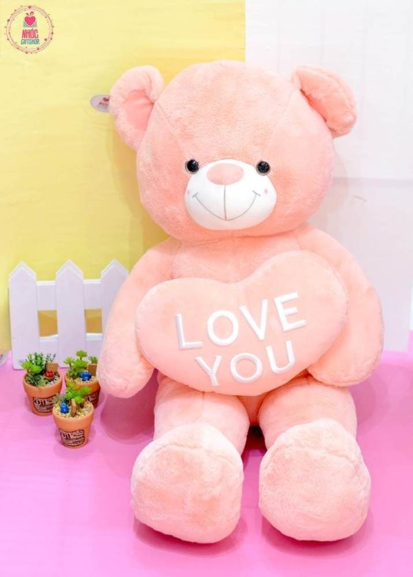 Gấu Teddy hồng trái tim