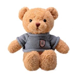Gấu bông Teddy