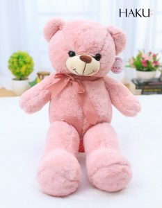 Gấu bông Teddy hồng mini