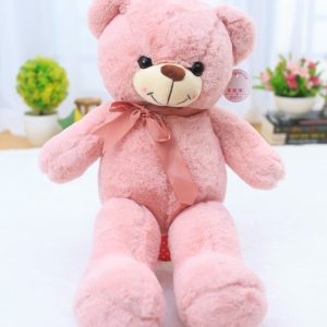 Gấu bông Teddy hồng